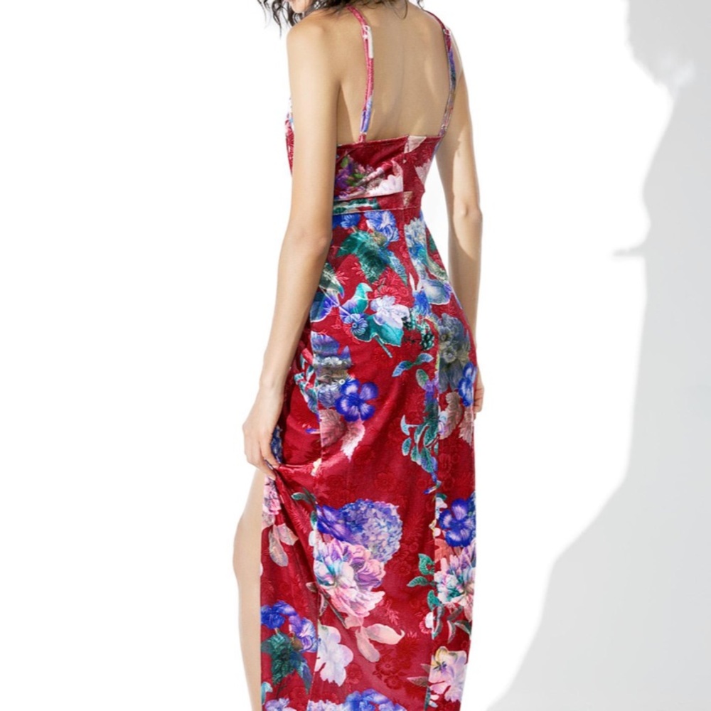 Nightwalker | The Ziggy Velvet Burnout Dress | Size Large - Picture 2 of 4